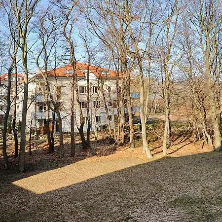 Strandpark Graal-muritz Strandpark Graal-muritz 05-1-n * Graal-Mueritz
